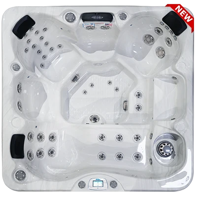 Avalon-X EC-849LX hot tubs for sale in Coral Gables